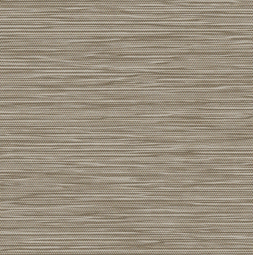 Light Filtering Roller Shade