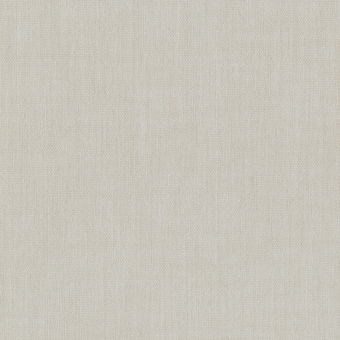 Light Filtering Roller Shade